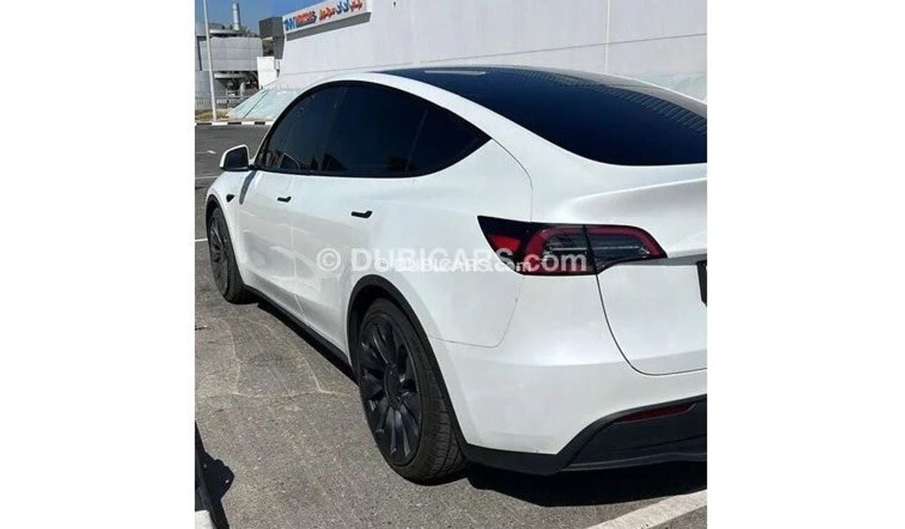 Tesla Model Y Tesla long range performance