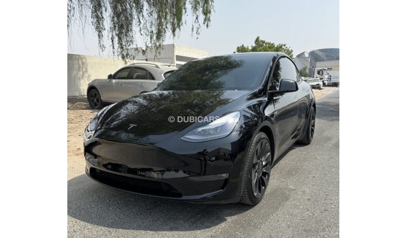 Tesla Model Y PERFORMANCE