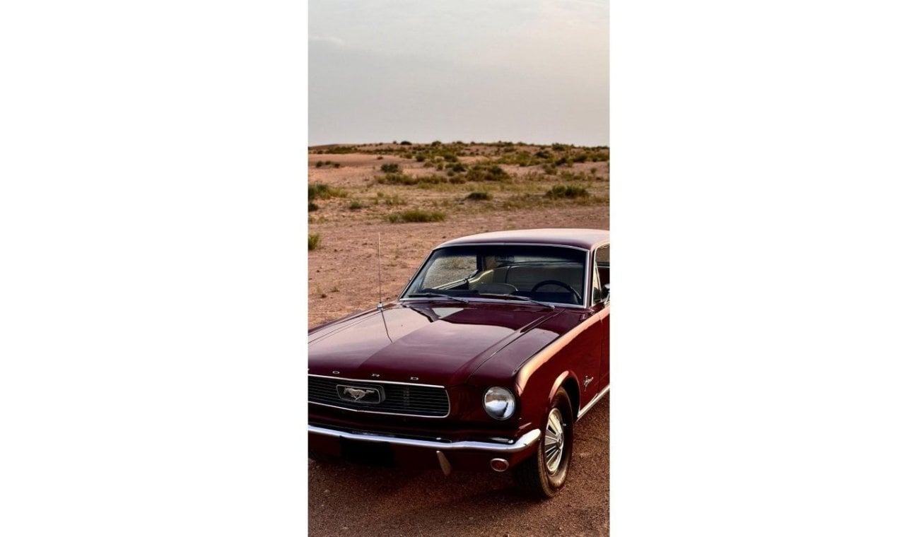 Ford Mustang Classic | 1966 | Collection car |